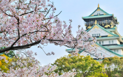 Win a trip to Osaka, Japan with AIA Financial Wellbeing